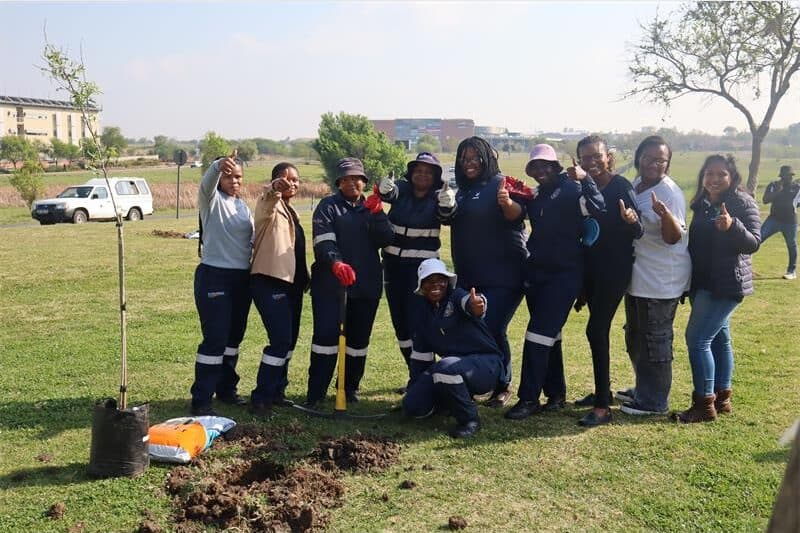 group of people stand looking a someone planting a tree