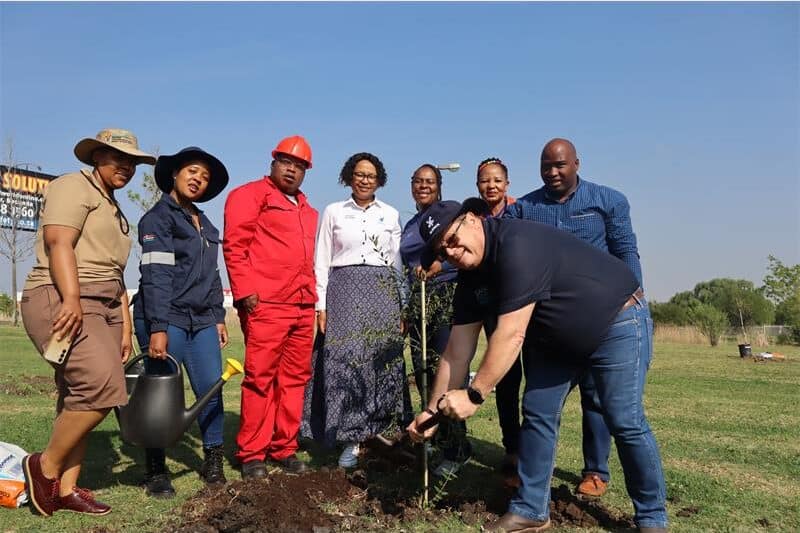 group of people stand looking a someone planting a tree