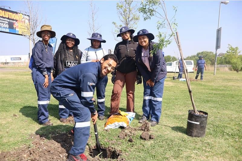 group of people stand looking a someone planting a tree